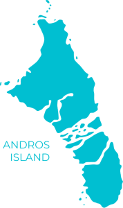 Flights to San Andros