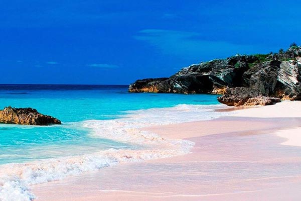 Makers Air offers flights to Staniel Cay, where you can experience the stunning beauty of a beach with pink sand and turquoise water.