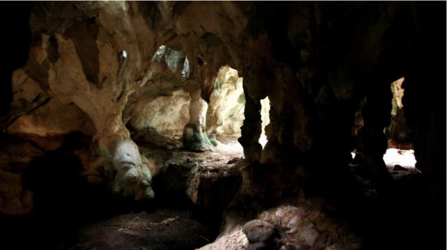 Discover an underground adventure like no other at Hamilton's Cave in Long Island, Bahamas. This extensive cave system, managed by Leonard Cartwright and his family, offers a glimpse into the fascinating history of the Arawak Indian Tribe. With artifacts, stunning rock formations, and bats, this experience is not to be missed. Immerse yourself in nature as you take a short hike through tropical vegetation to reach the cave entrance. Prepare for a bit of a crawl as you maneuver through a narrow passage before entering the majestic chambers. Marvel at the cathedral-like room with its soaring 50-foot high ceiling. Hamilton's Cave is a must-visit attraction on Long Island, drawing tourists from all around the world. Choose between a self-guided tour or join a guided tour led by the knowledgeable Cartwright family members. Admission is $15 for adults and $8 for children. Book your reservation now by calling (242) 337-0235 or (242) 472-1796. Embark on an extraordinary underground adventure today!