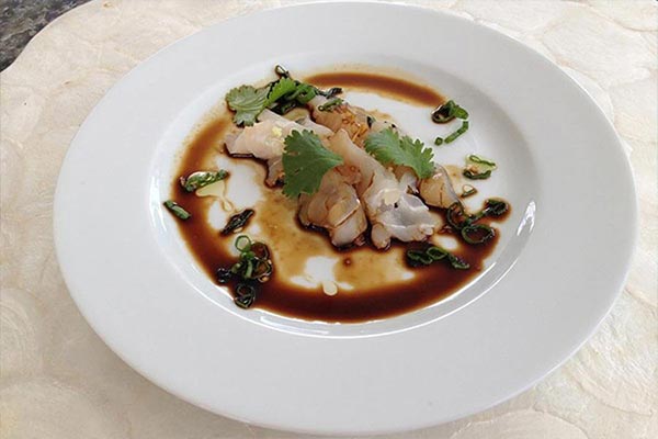 Bahamas-flights-Island-Destinations-Great-Harbour-Cay05