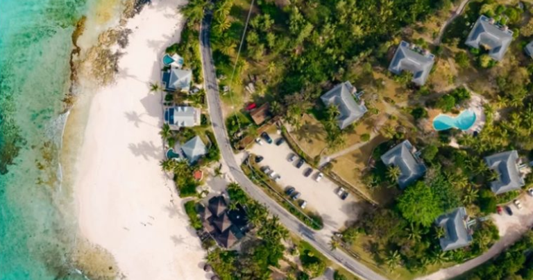 French-Leave-768×403(1)