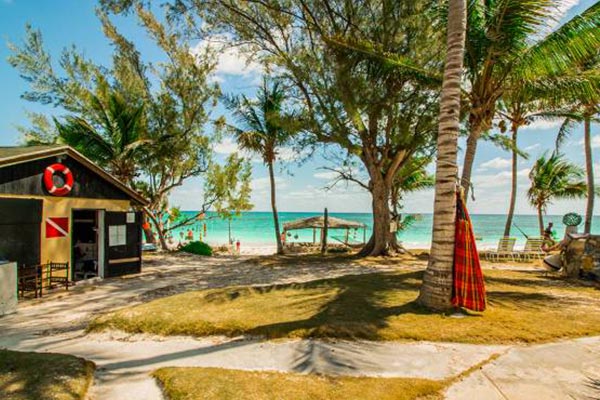 a-small-hut-next-to-a-beach-with-palm-trees-in-staniel-cay