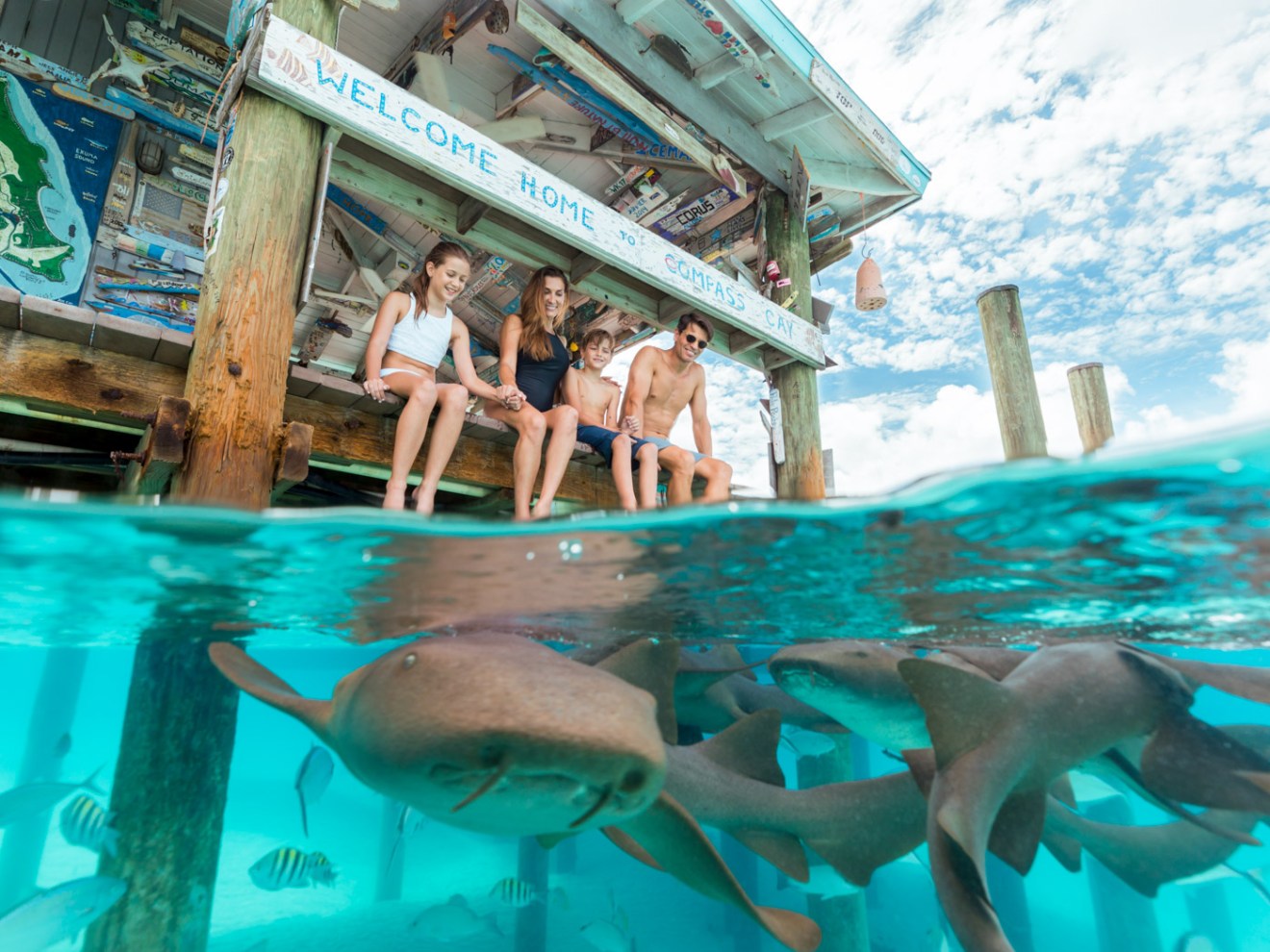 People sitting on a dock above clear water with swimming sharks below.