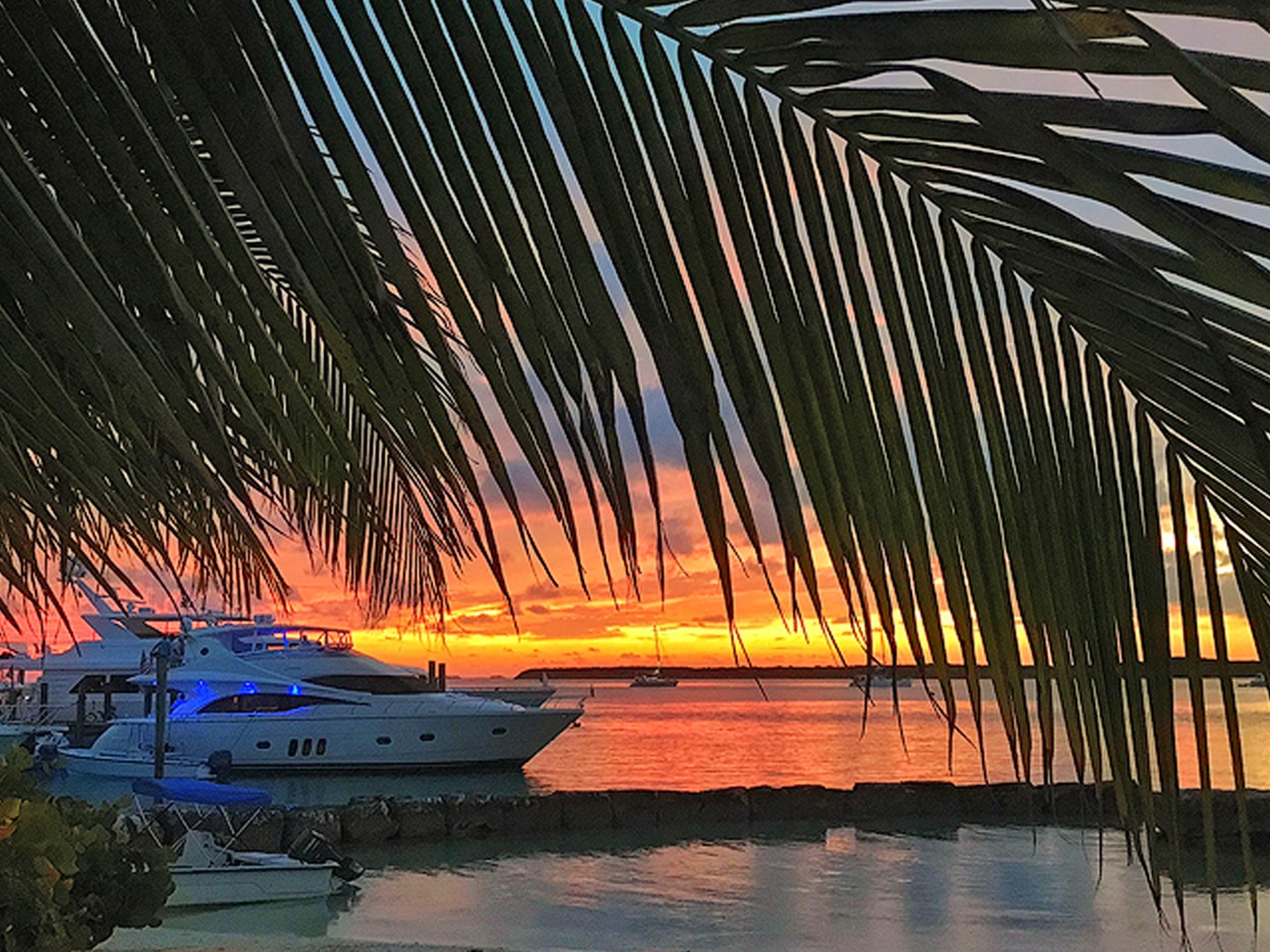 Yacht docked at sunset, partially framed by palm fronds, with vibrant sky reflecting on the water.