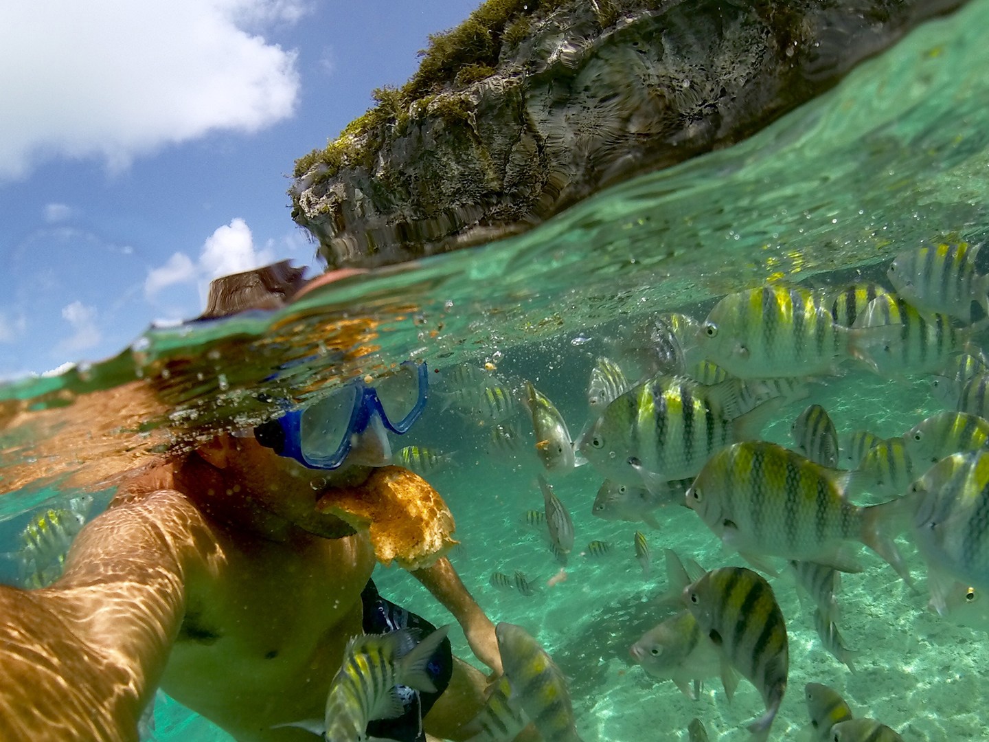 Person snorkeling underwater near tropical fish and rocky shore.